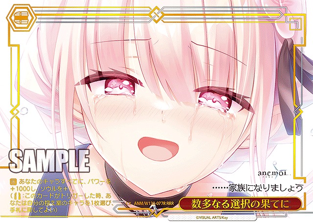 数多なる選択の果てに (RRR) 【ANM/W138-077RRR】